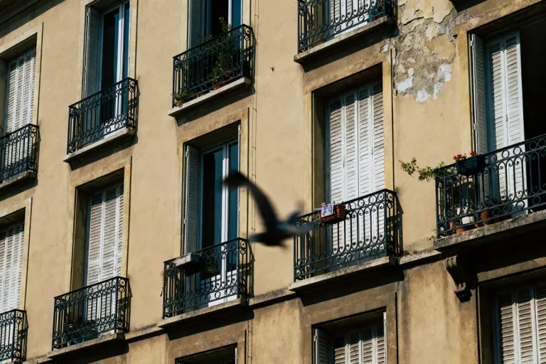 Façade ensoleillée d'un immeuble ancien avec balcons, ombre d'un oiseau en vol au premier plan.